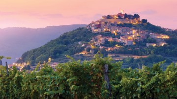 Ako sa pestuje vinič na Istrii?