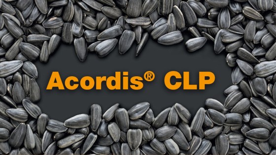 Acordis CLP