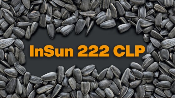 InSun 222 CLP