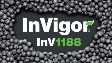 InV1188®