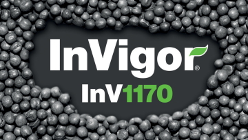 InV1170®