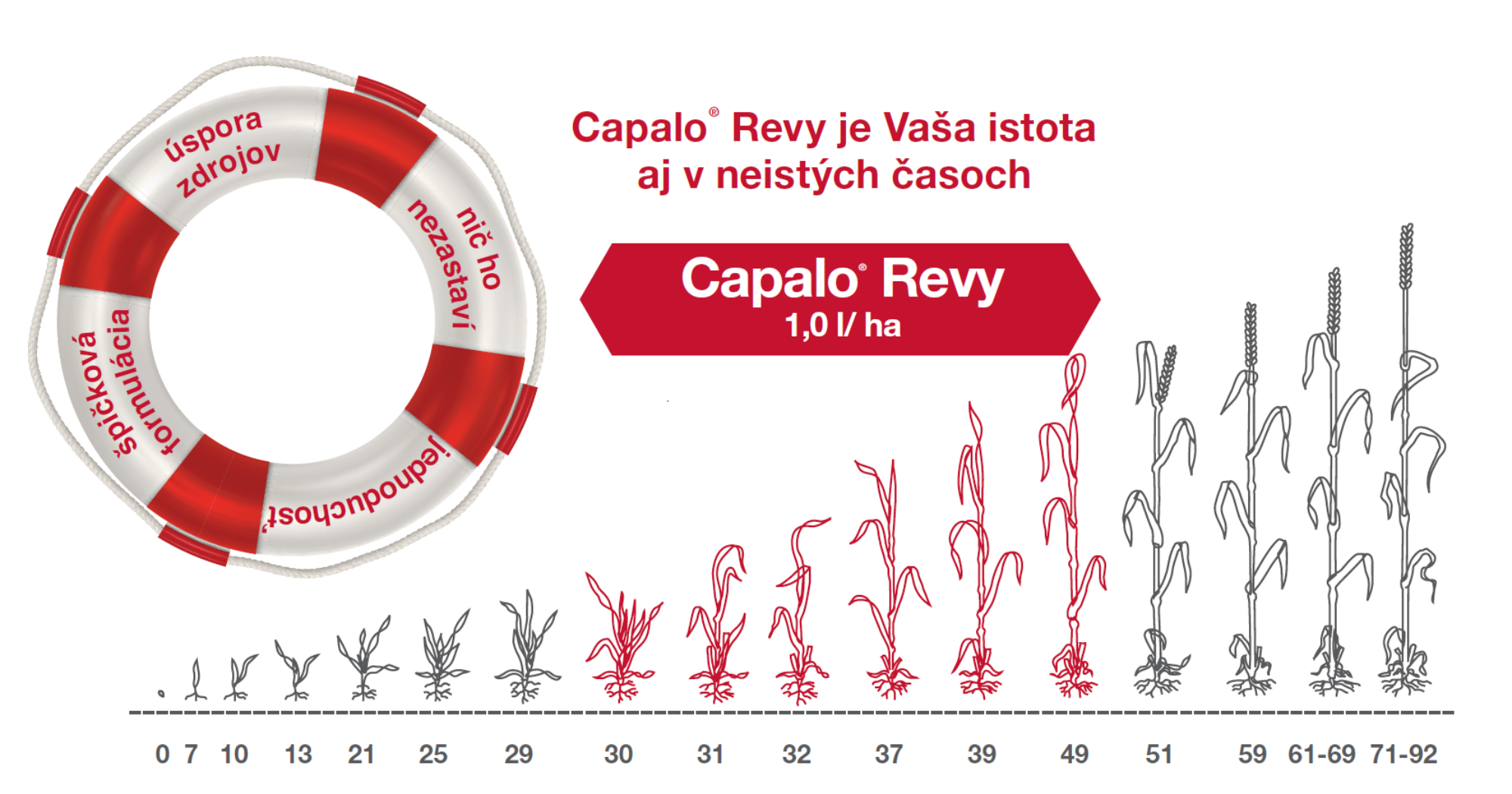 doporučení pre aplikácii přípravku Capalo Revy