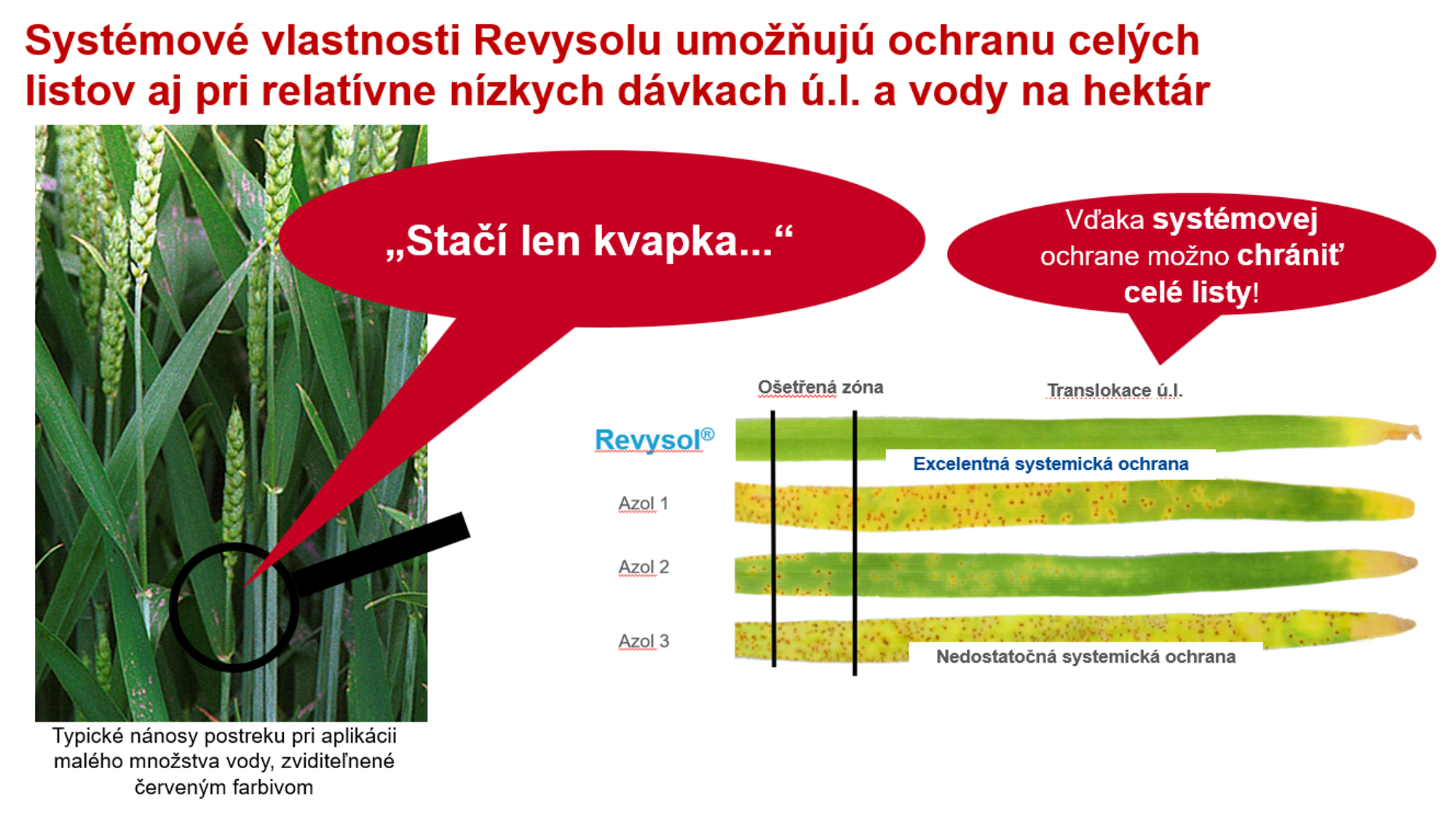 kvapka Revysolu a ochrana listu obilnín