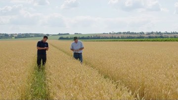 🌿 Ochrana obilnín s BASF