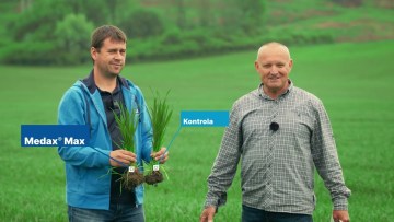 Najflexibilnejší regulátor rastu do obilnín - Medax® Max