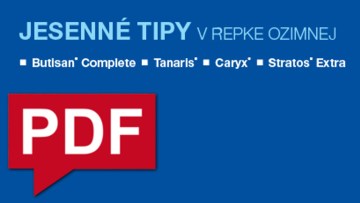 Odporúčania pre repku na jeseň