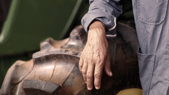 Farmer's Hands