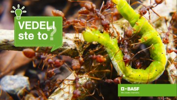 Vedeli ste, že pesticídy môžu prispieť k zachovaniu európskej biodiverzity?