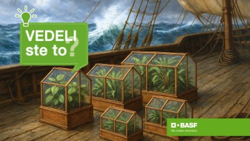 Vedeli ste o slanej histórii obchodných bariér? 