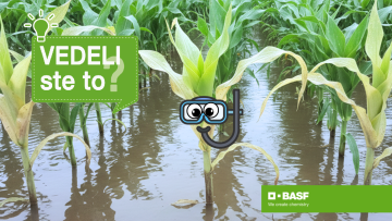 Vedeli ste, že plodiny dokážu pod vodou „zadržať dych“?