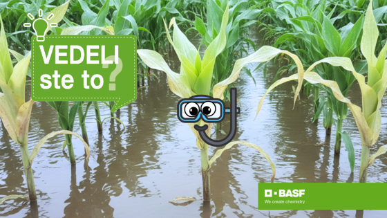 rastliny zadržujú dych