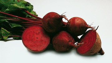 Kŕmna repa