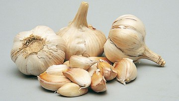 Cesnak